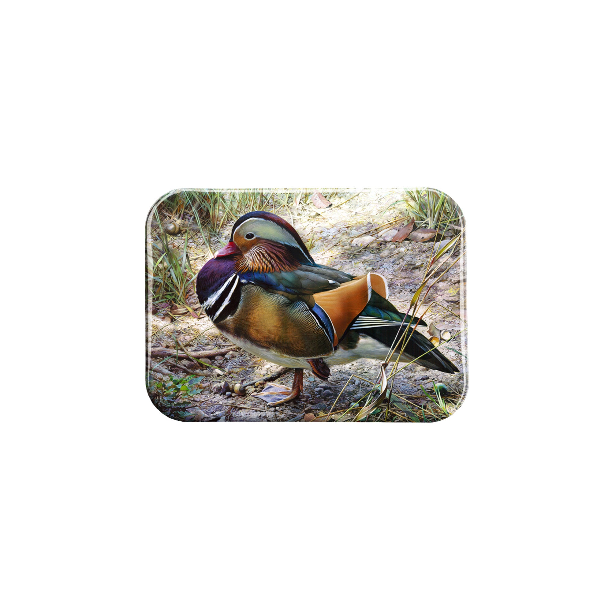 "Mandarin Drake" - 2.5" X 3.5" Rectangle Fridge Magnets