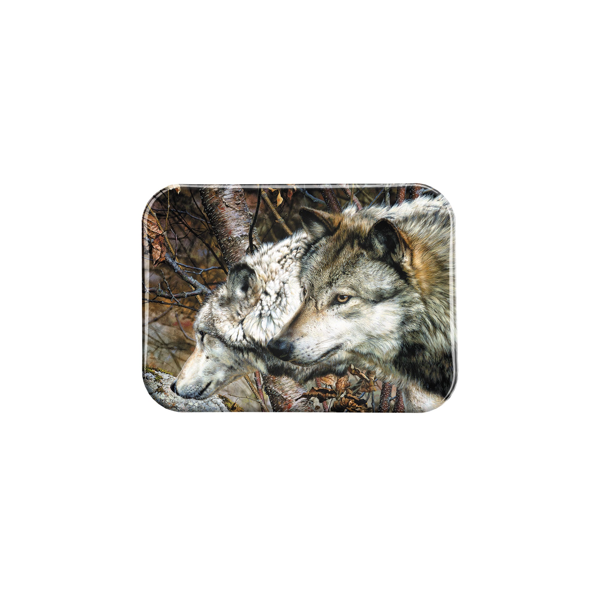 "Companions" - 2.5" X 3.5" Rectangle Fridge Magnets