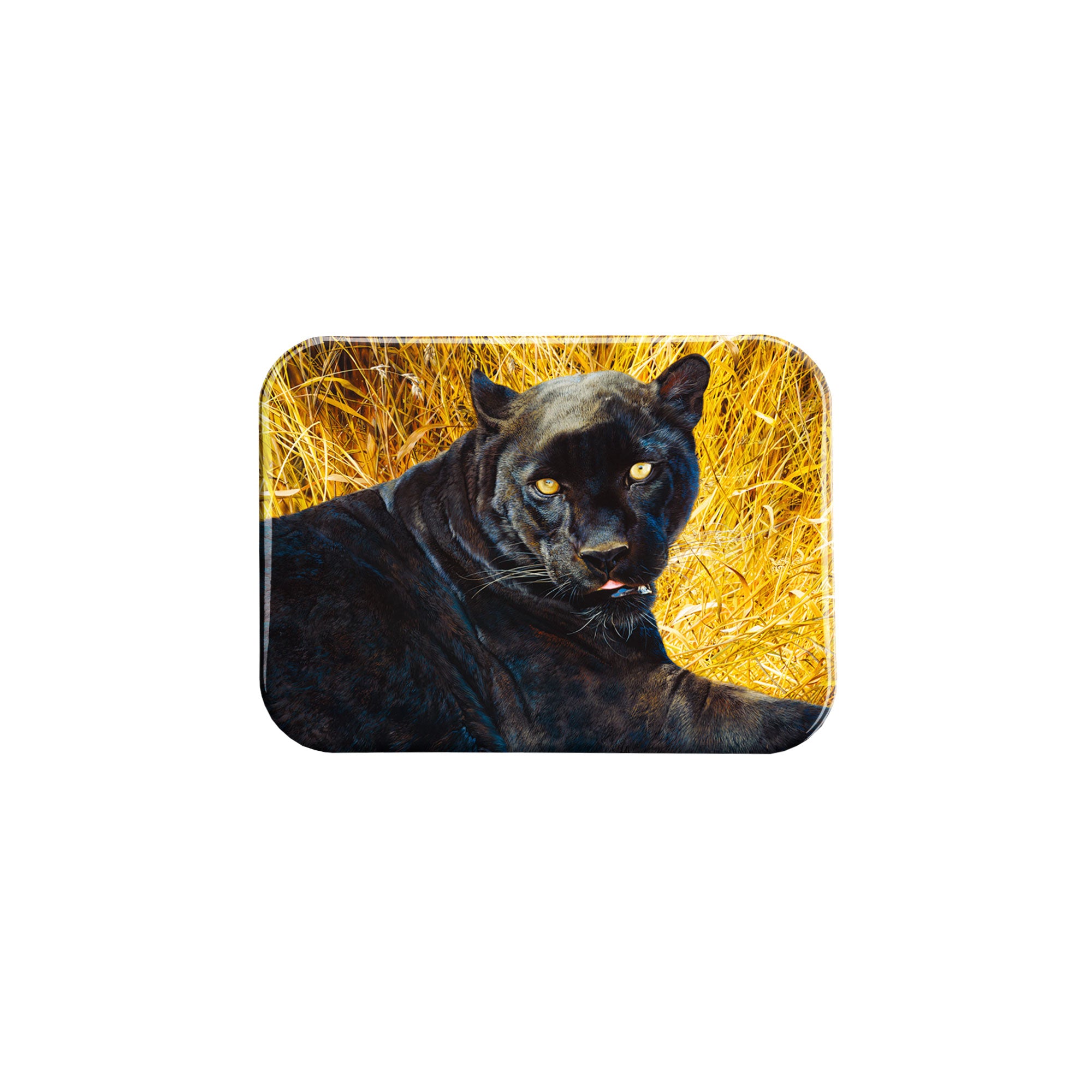 "Black Sphinx" - 2.5" X 3.5" Rectangle Fridge Magnets