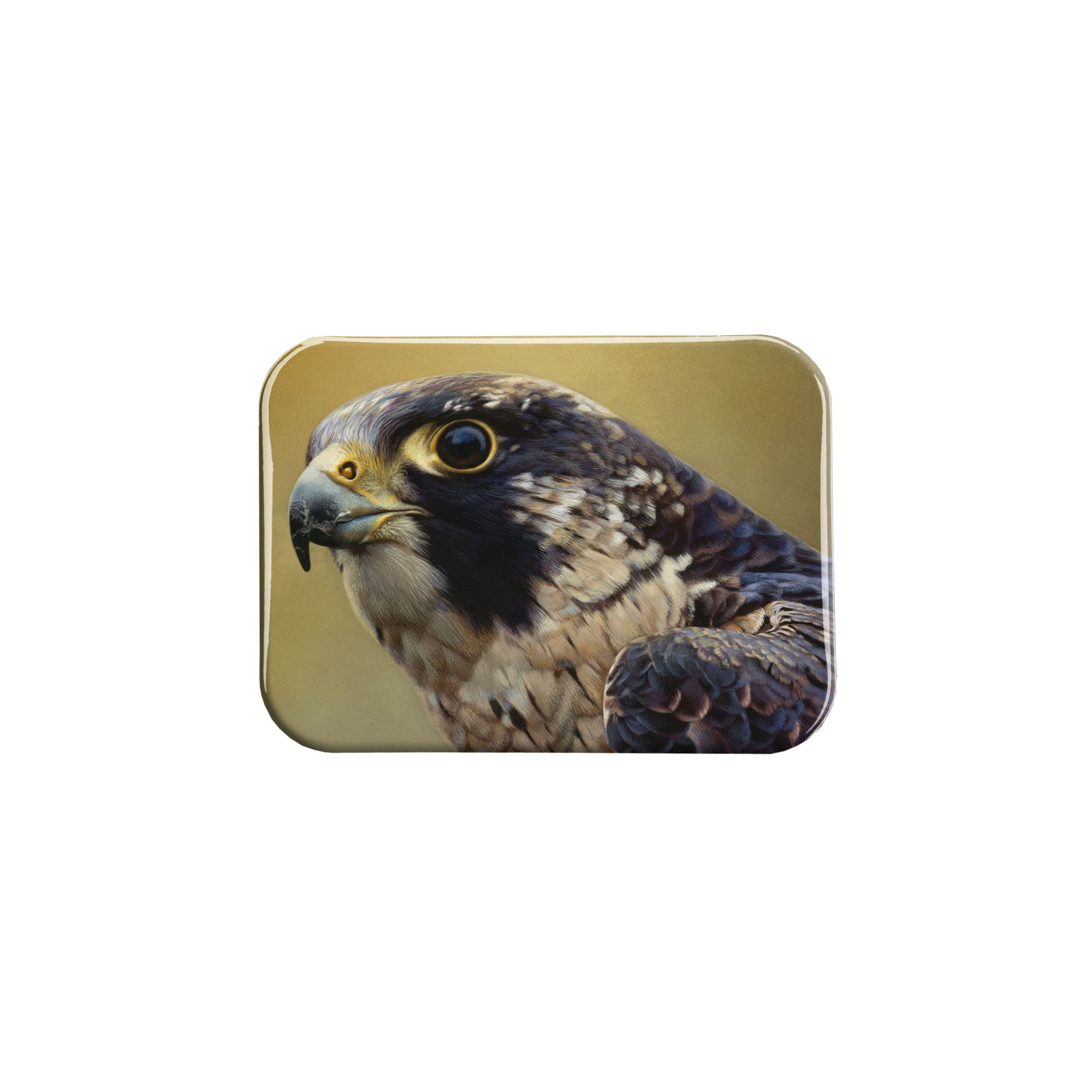 "Peregrine Falcon" - 2.5" X 3.5" Rectangle Fridge Magnets