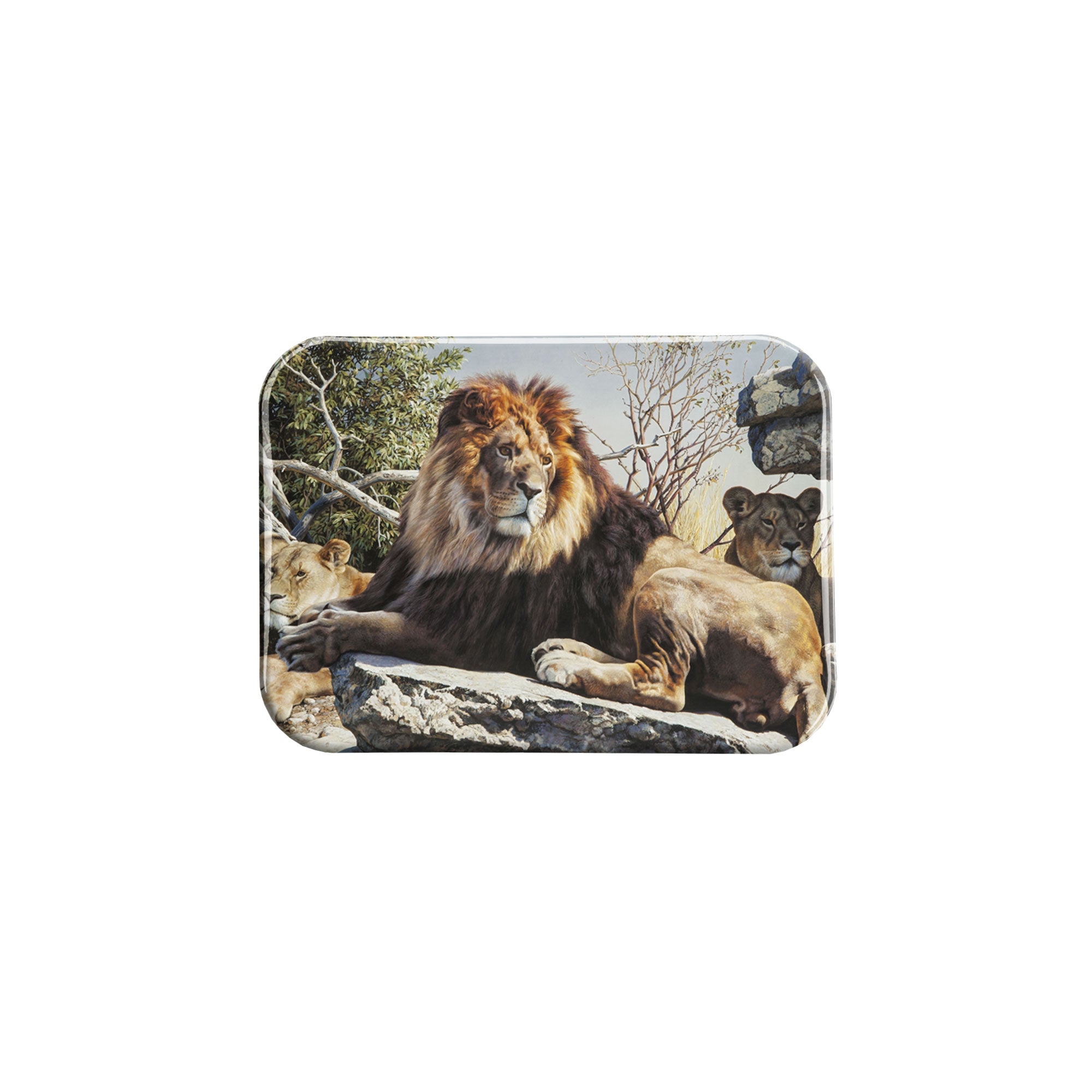 "Pride Of Place" - 2.5" X 3.5" Rectangle Fridge Magnets