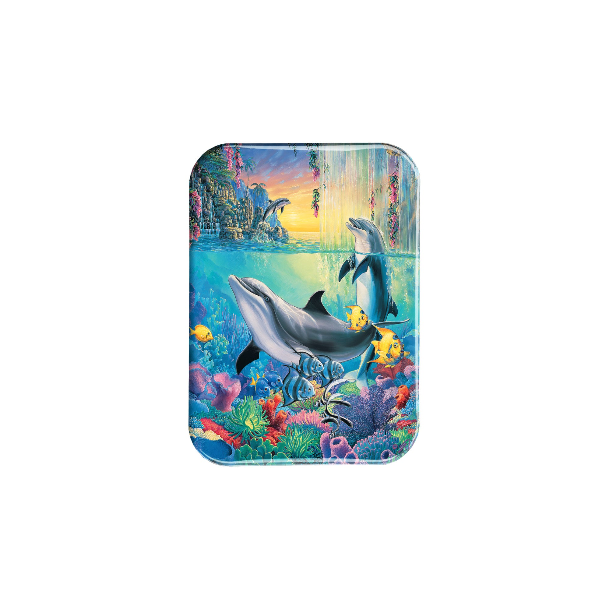 "Dolphin Falls" - 2.5" X 3.5" Rectangle Fridge Magnets