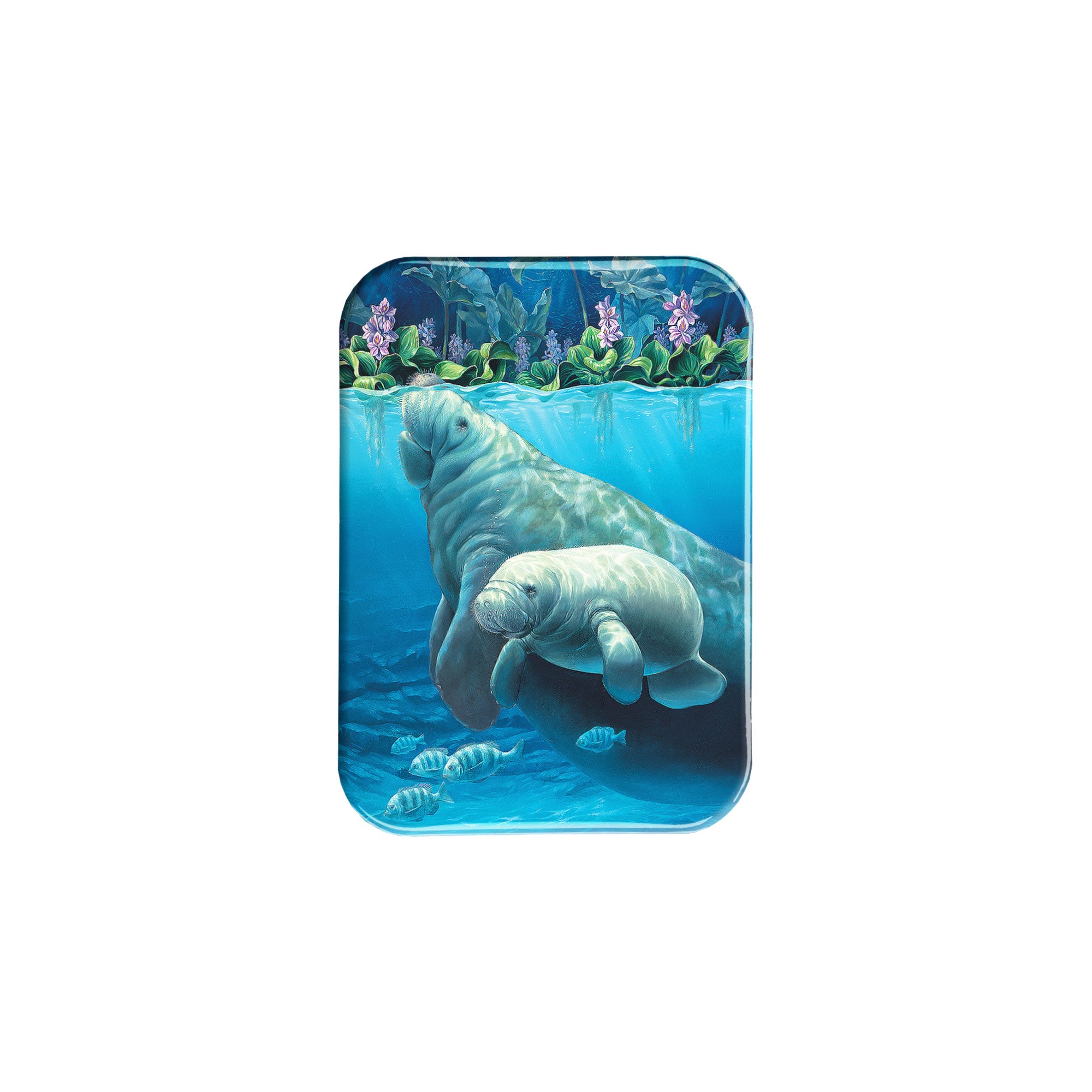 "Manatee Haven" - 2.5" X 3.5" Rectangle Fridge Magnets