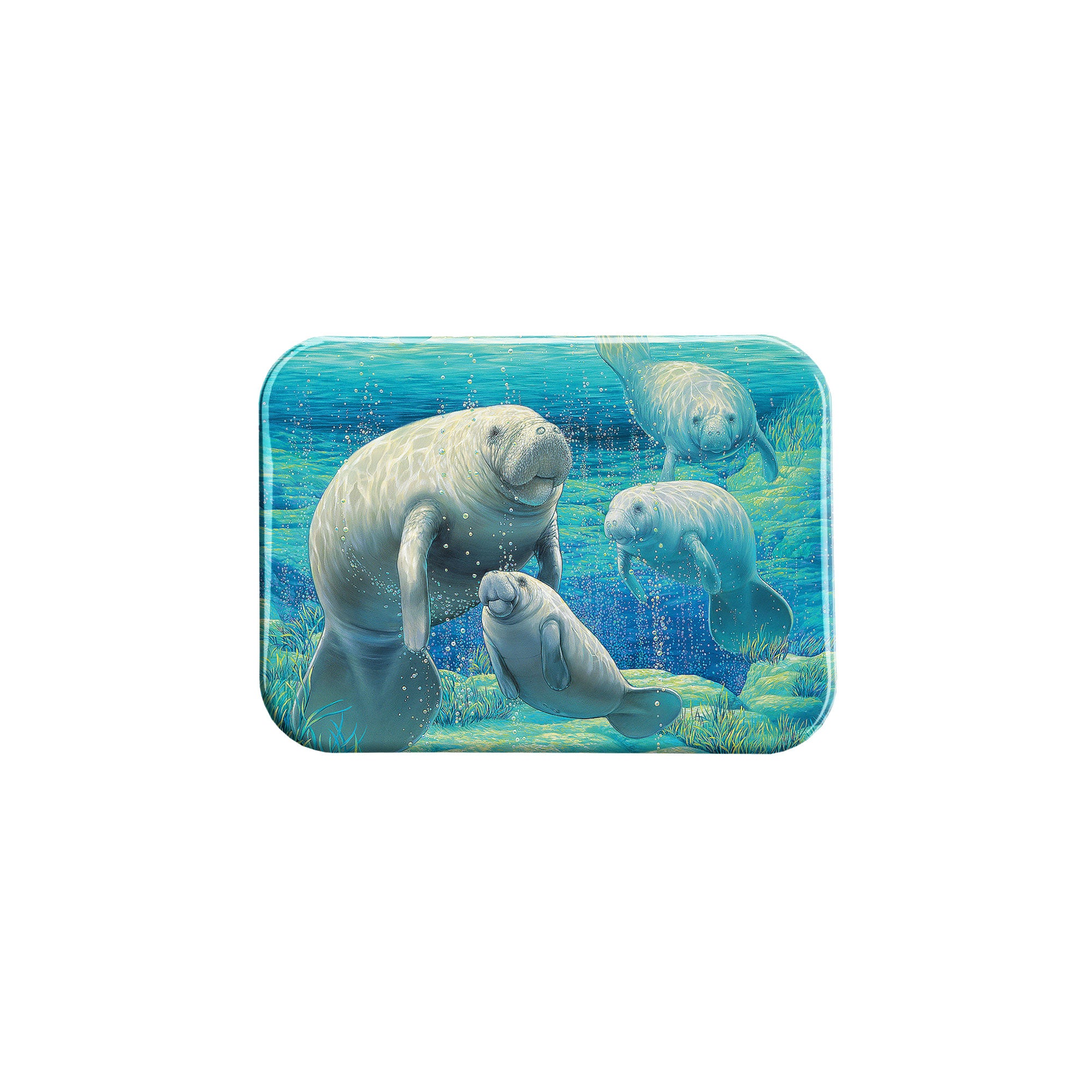 "Manatee Sanctuary" - 2.5" X 3.5" Rectangle Fridge Magnets