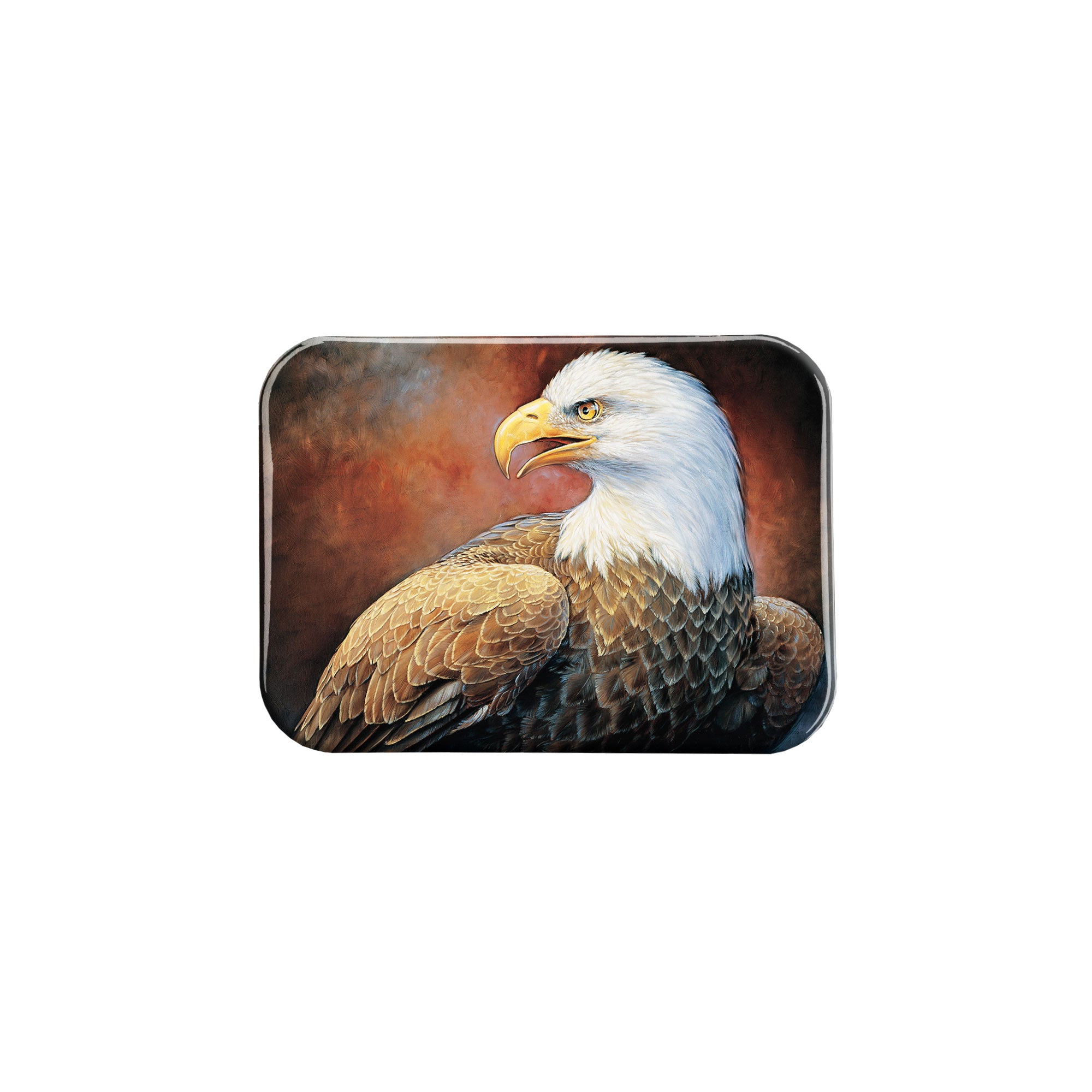 "Bald Eagle" - 2.5" X 3.5" Rectangle Fridge Magnets