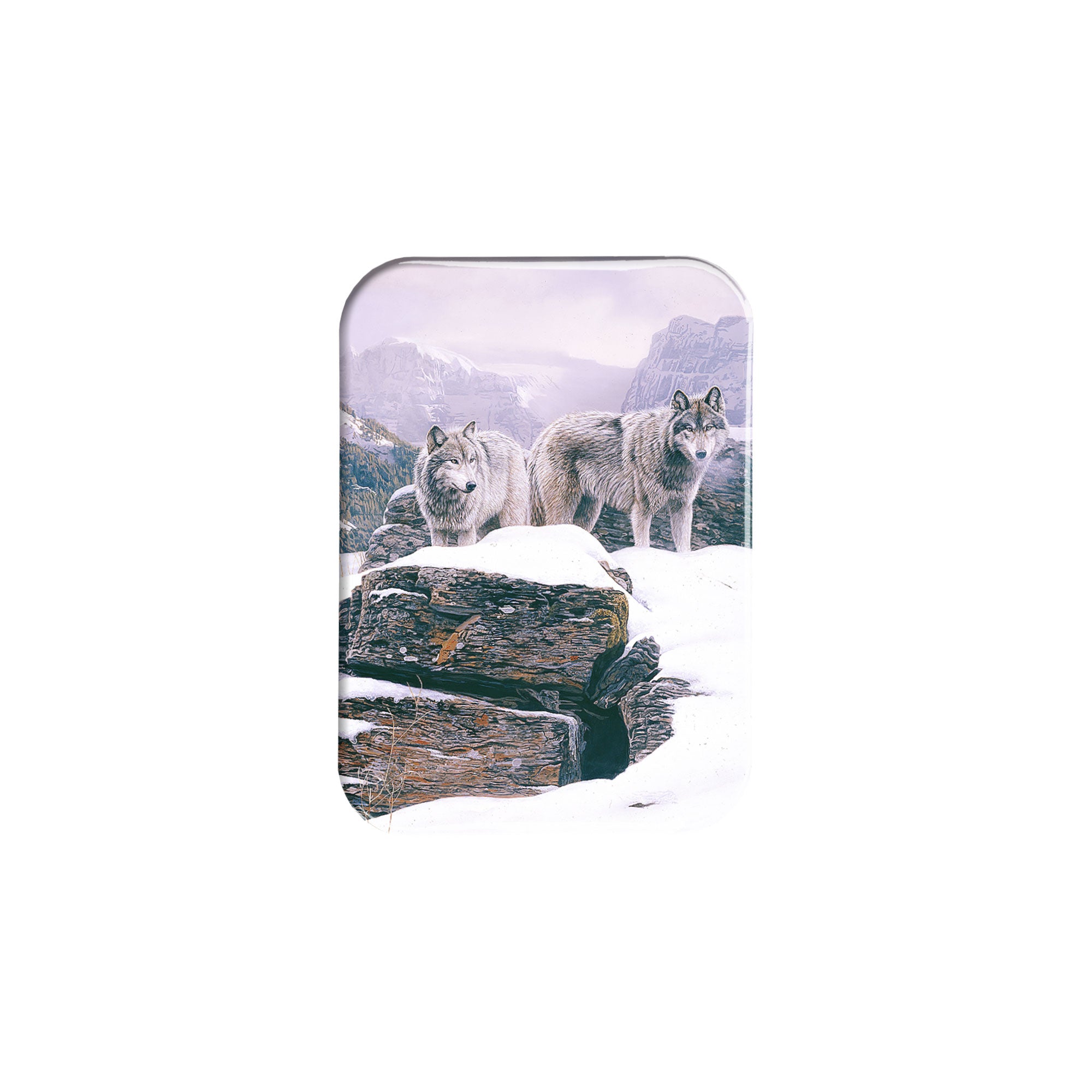 "The Summit" - 2.5" X 3.5" Rectangle Fridge Magnets