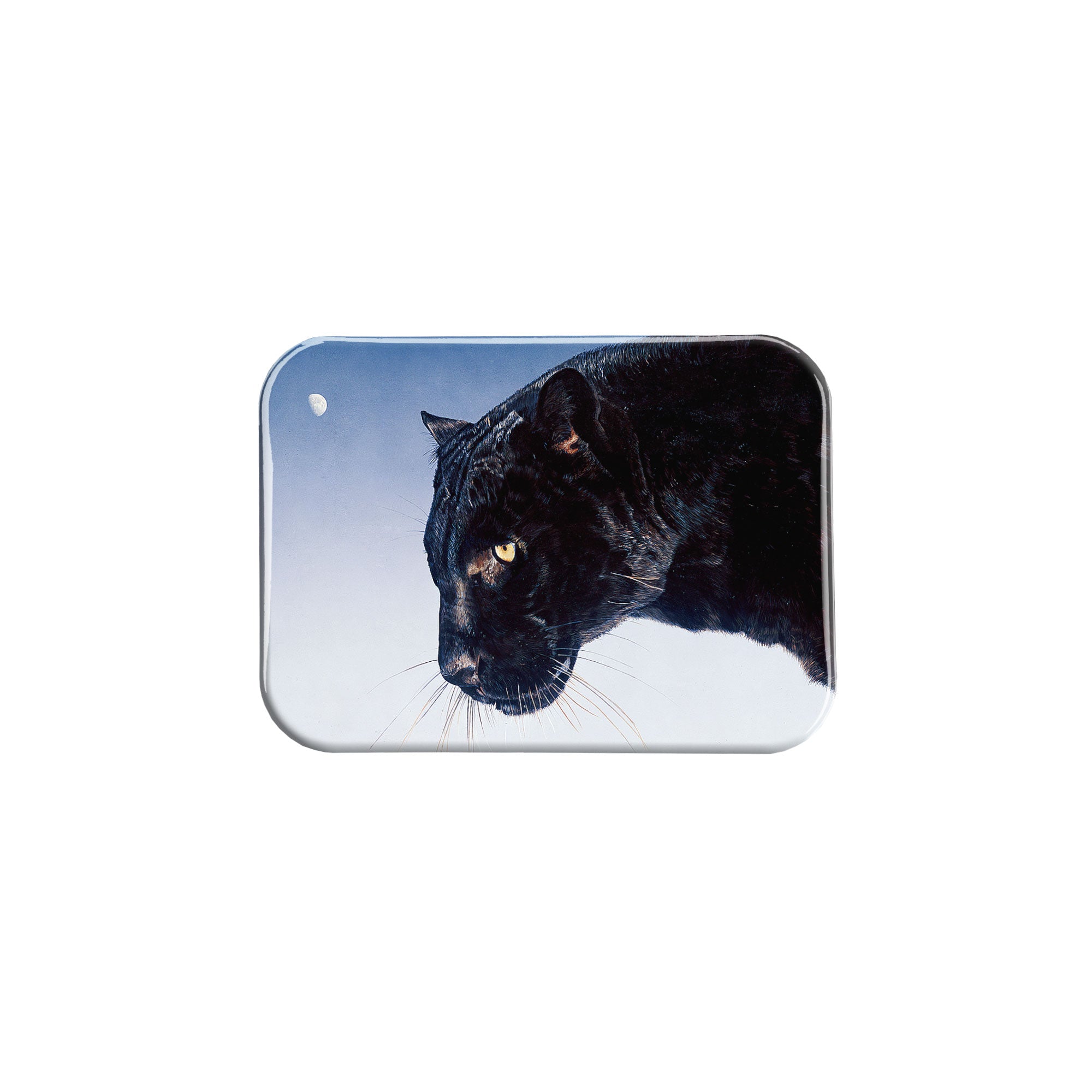 "Into the Night" - 2.5" X 3.5" Rectangle Fridge Magnets