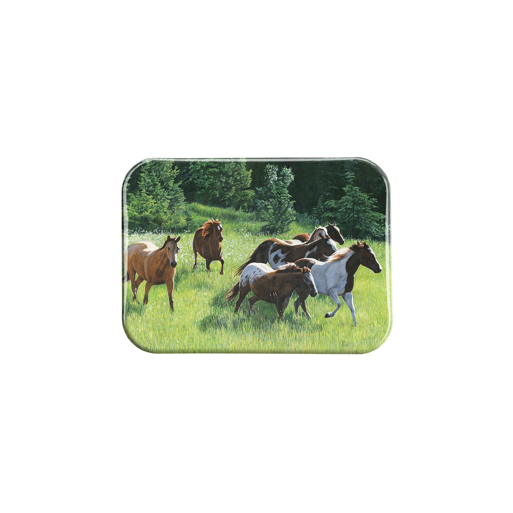 "Freedom Run" - 2.5" X 3.5" Rectangle Fridge Magnets