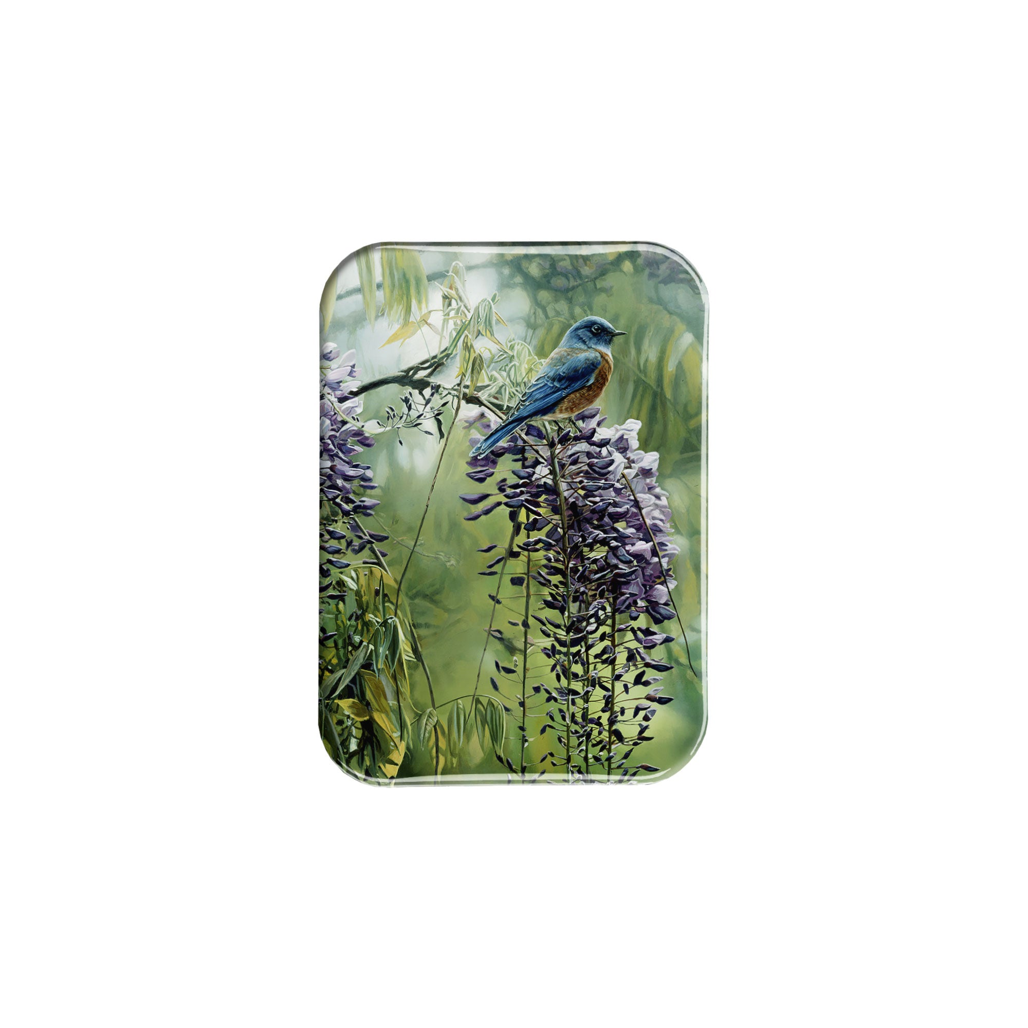 "Springtime Blues" - 2.5" X 3.5" Rectangle Fridge Magnets