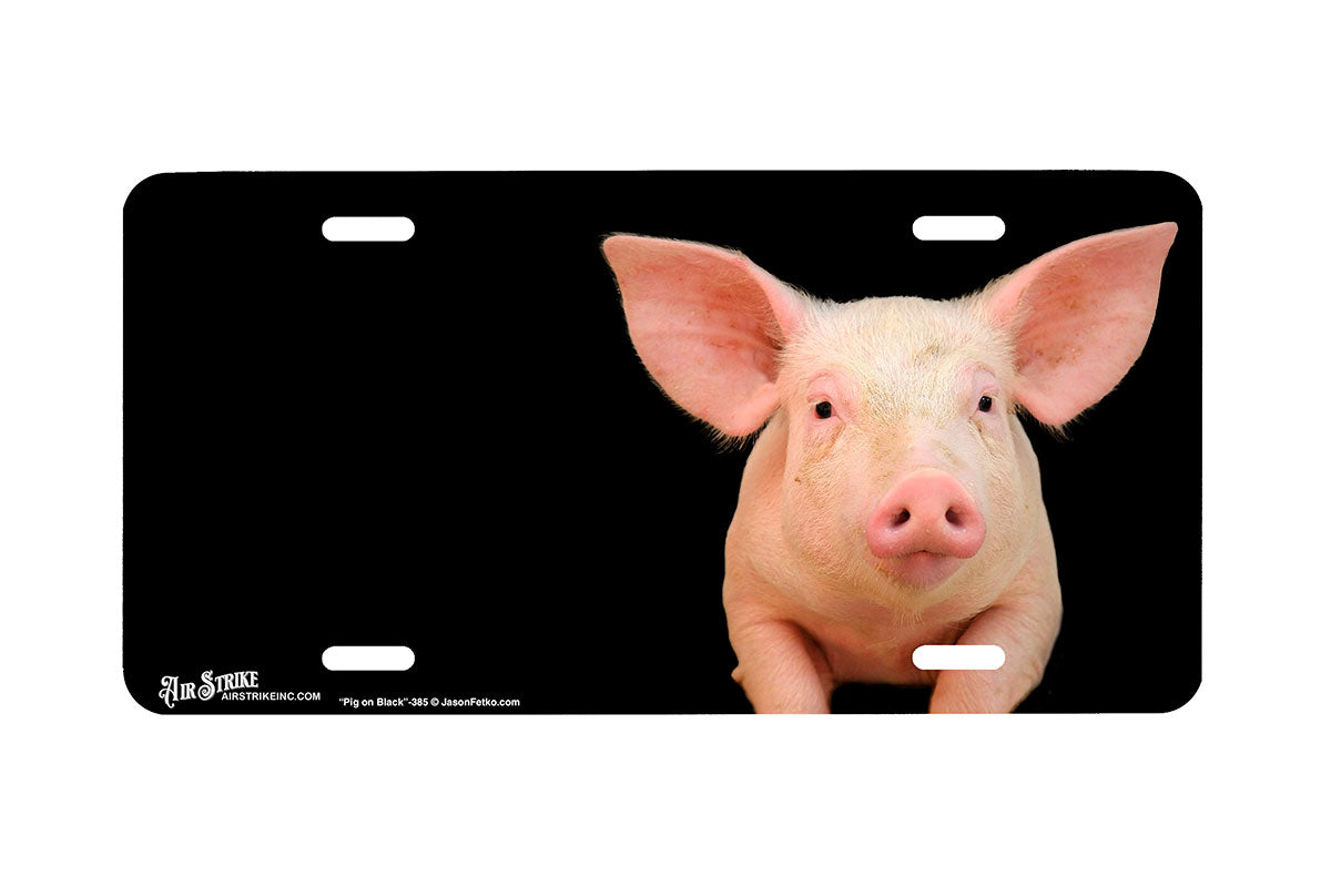 "Pig on Black" - Decorative License Plate