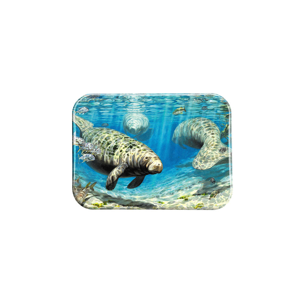 "Warm Springs Refuge" - 2.5" X 3.5" Rectangle Fridge Magnets