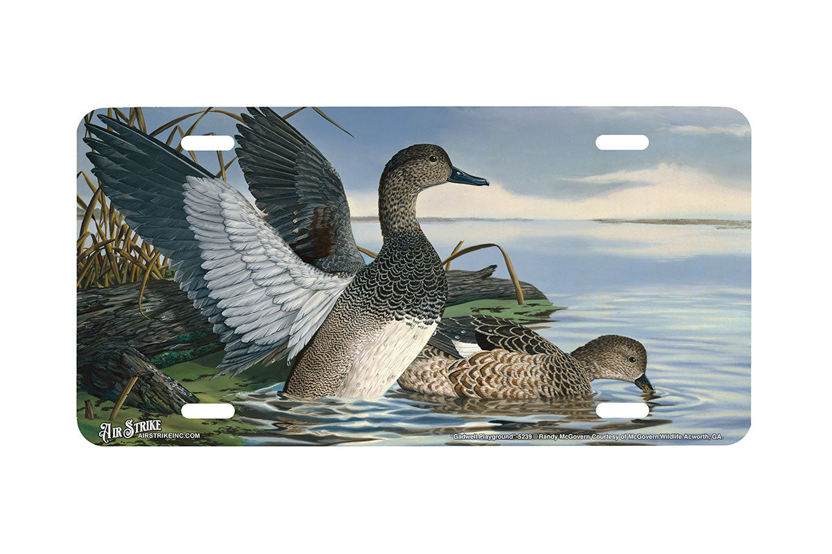 "Gadwall Playground" - Decorative License Plate