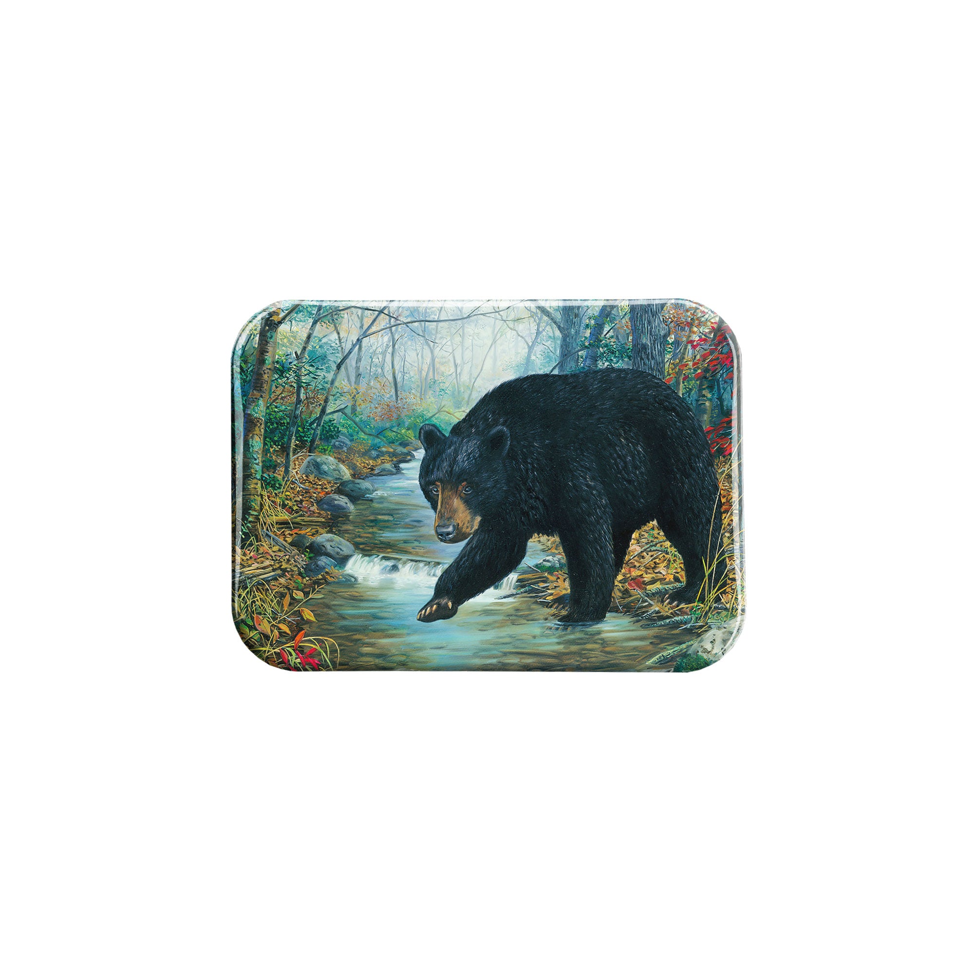 "Bearly Wading" - 2.5" X 3.5" Rectangle Fridge Magnets