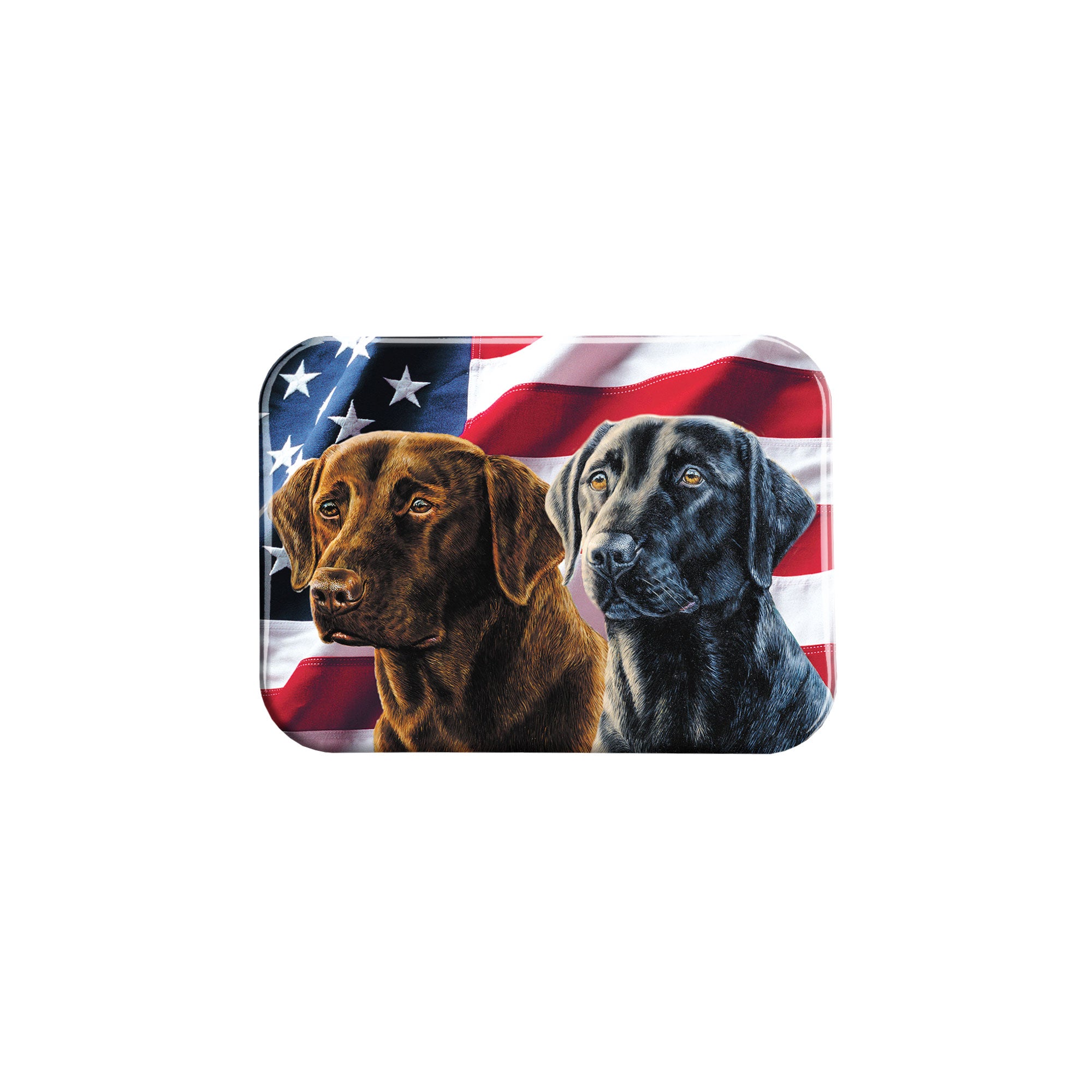 "American Black and Chocolate Lab" - 2.5" X 3.5" Rectangle Fridge Magnets