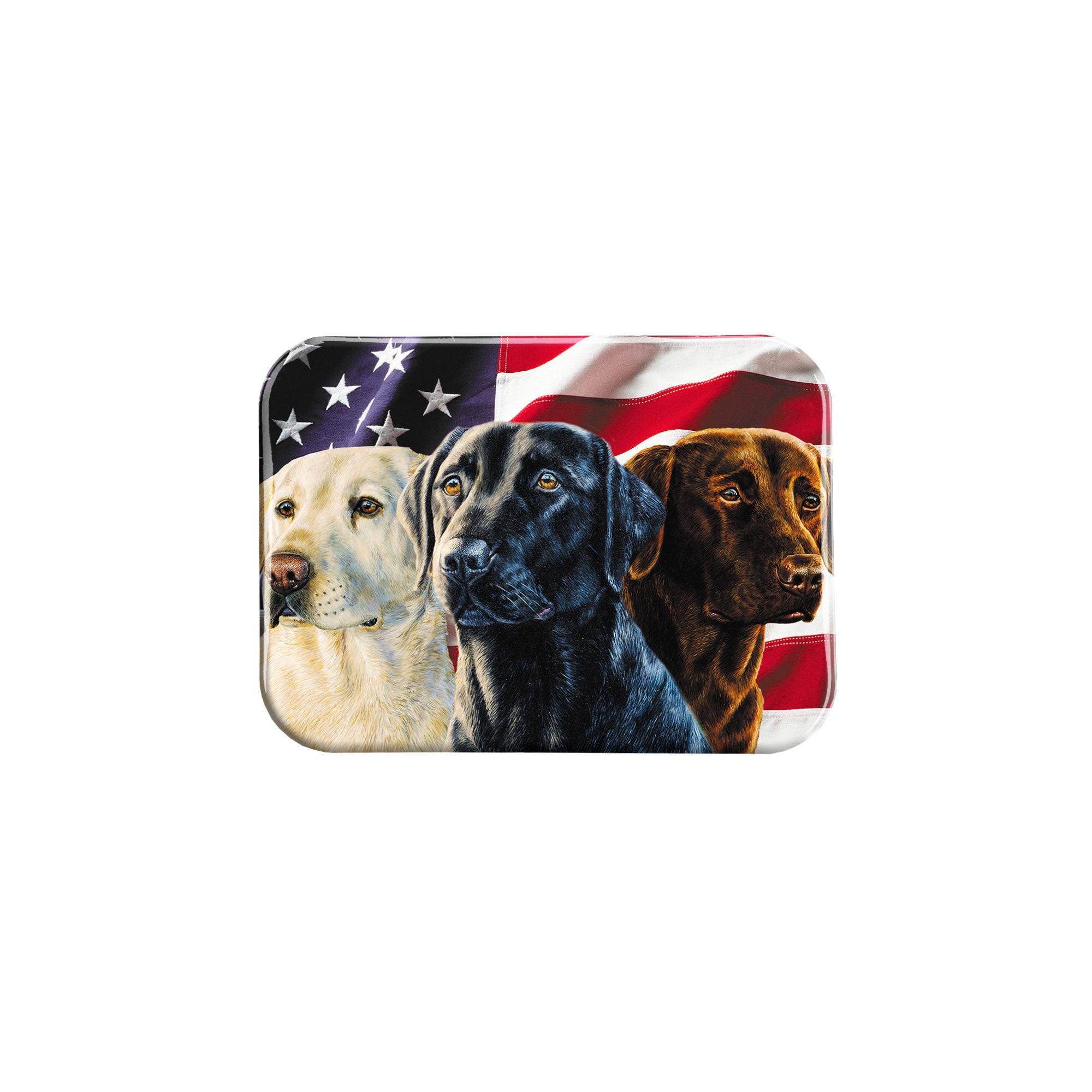 "American Lab Trio" - 2.5" X 3.5" Rectangle Fridge Magnets