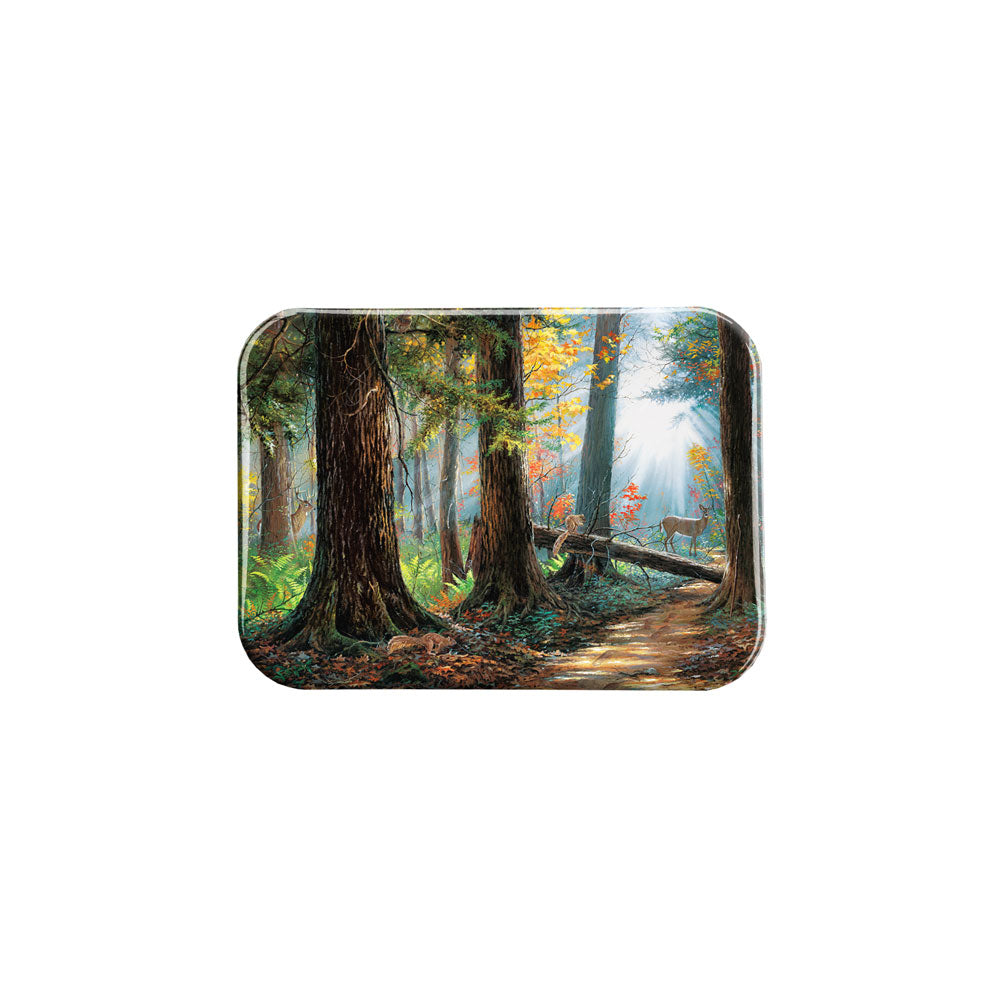 "Peaceful Path" - 2.5" X 3.5" Rectangle Fridge Magnets