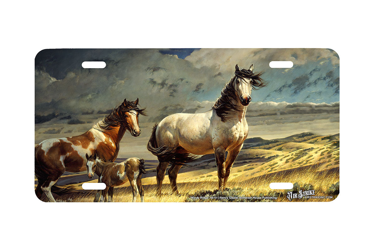 "Windy Ridge" - Decorative License Plate