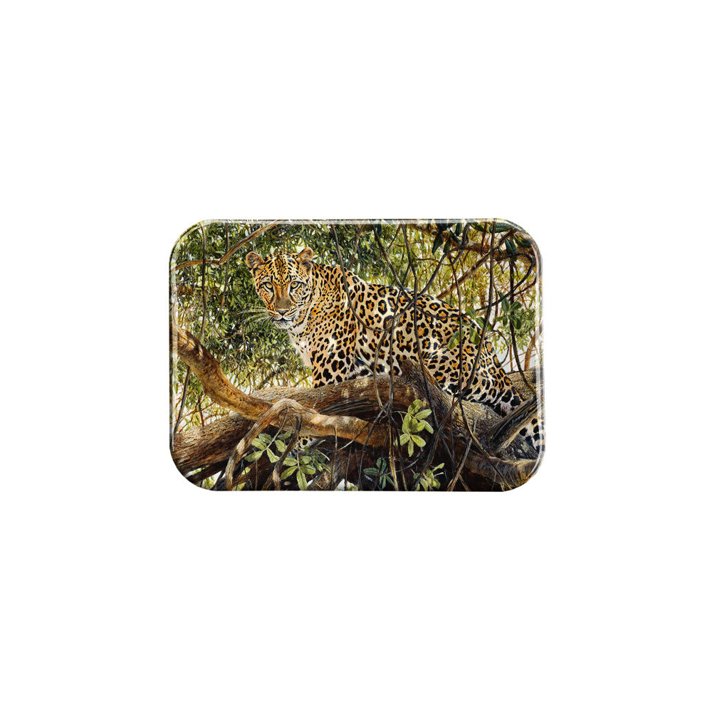 "Spotted" - 2.5" X 3.5" Rectangle Fridge Magnets