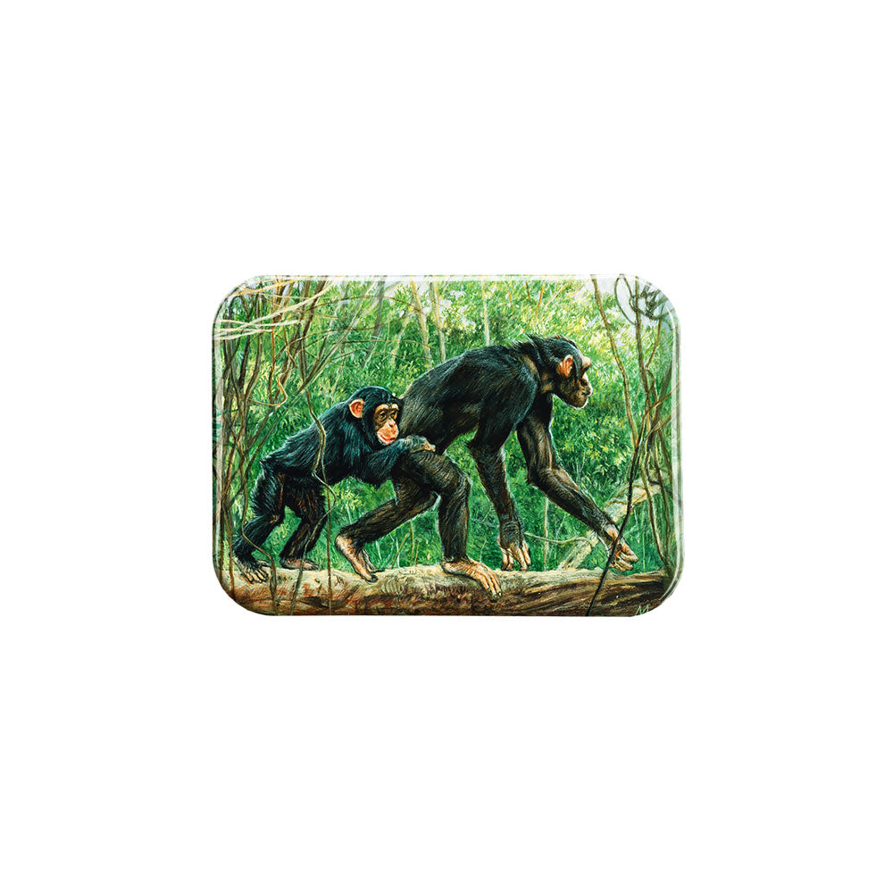 "Chimps" - 2.5" X 3.5" Rectangle Fridge Magnets