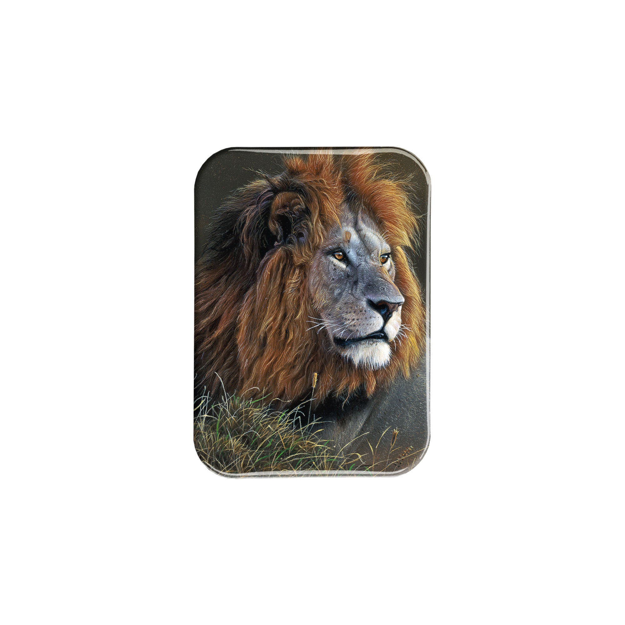 "Mara Monarch" - 2.5" X 3.5" Rectangle Fridge Magnets