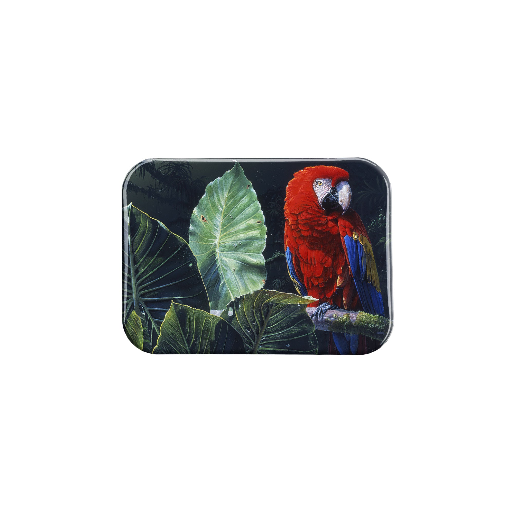 "Scarlet Macaw" - 2.5" X 3.5" Rectangle Fridge Magnets