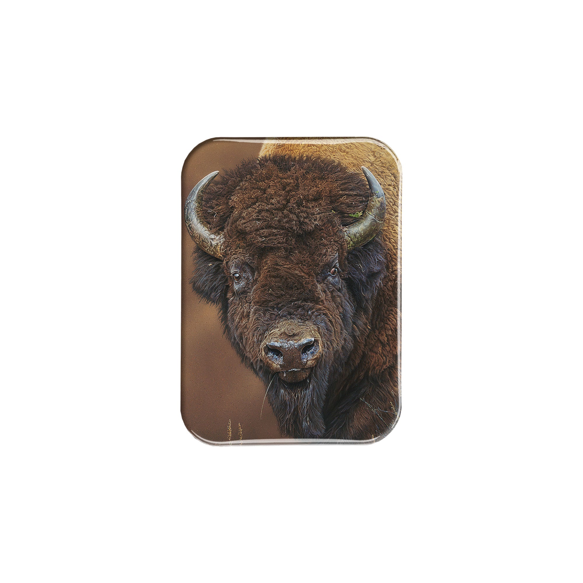 "American Made" - 2.5" X 3.5" Rectangle Fridge Magnets