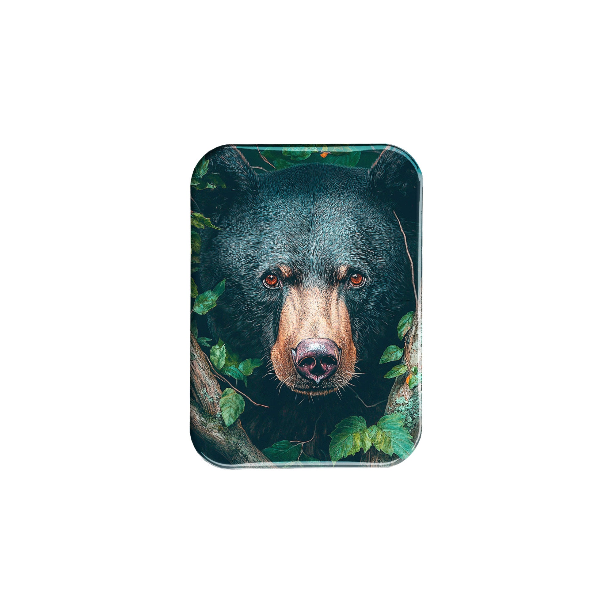 "Black Bear Portrait" - 2.5" X 3.5" Rectangle Fridge Magnets