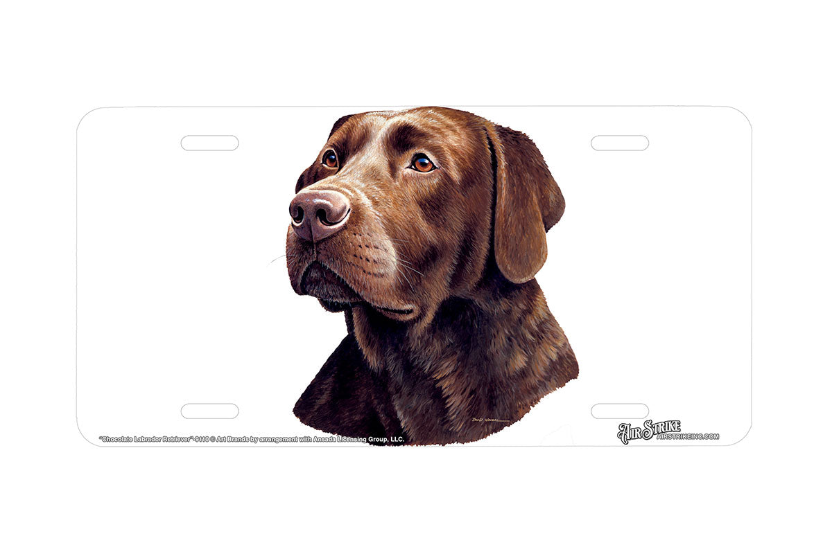 "Chocolate Labrador Retriever" - Decorative License Plate